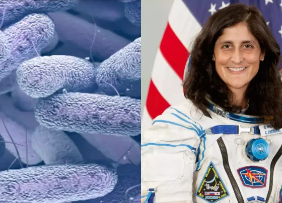 t: Astronaut Sunita Williams working inside the International Space Station